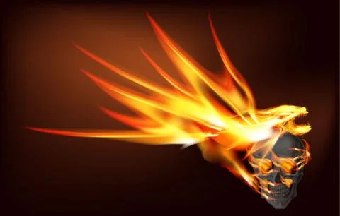 Fire dragon and skull Stock Illustration
