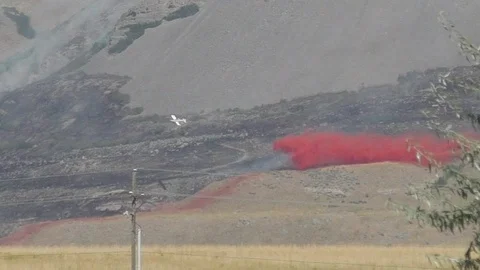 Fire Drop Stock Footage 115347365