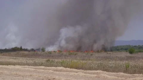 Fire of dry grass in the field. environmental warming. the heat is gone. 스톡 동영상 201993988