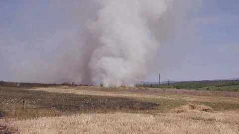 Fire of dry grass in the field. environmental warming. the heat is gone. 스톡 동영상 201994092