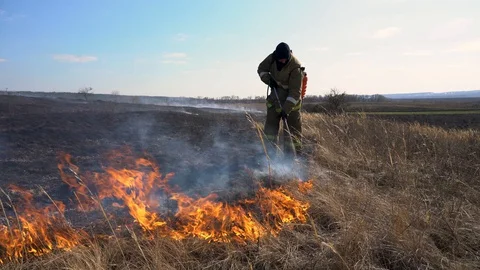 Fire in dry grass. Firefighter fights the fire, extinguishes the flames Stock Footage 128100317