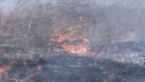 A fire of Dry Grass is in Steppe Stock Footage 74103075