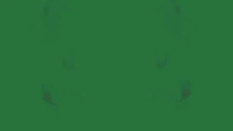 Fire Dynamic With Flames Isolated Green Screen Stock Video Stock Footage 338015483