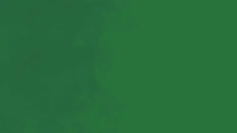 Fire Dynamic With Smoke Isolated Green Screen Stock Video Stock Footage 338015641
