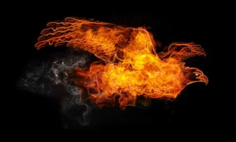 Fire Eagle Stock Illustration