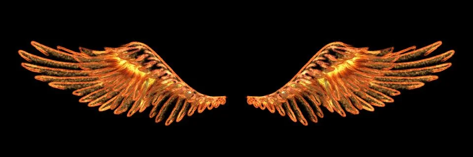 Fire eagle wings. Burning flame transparent texture. Hawk, falcon object. Stock Illustration