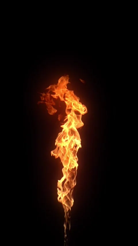 Fire Element Vertical Video 動画素材 312004566