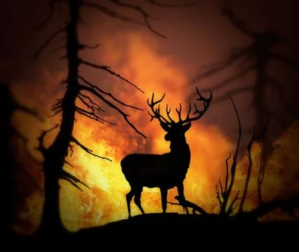 Fire Elk Stock Illustration