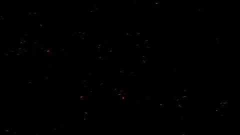 Fire Ember. Ember Particles. Particles Stock Footage 262654188