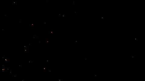 Fire embers Particles 4k, Flying embers, bonfire sparkles. Video stock 311409460