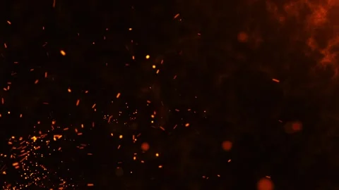 Fire embers Particles 4k, Flying embers, bonfire sparkles. Video stock 311409473