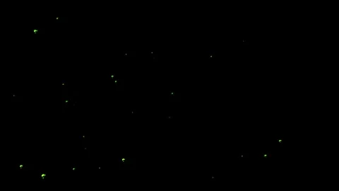Fire embers Particles 4k, Flying embers, bonfire sparkles. Video stock 311409674