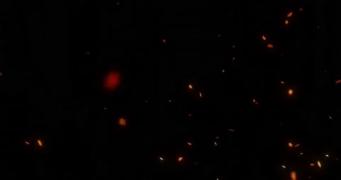 Fire embers sparks in air Stock Footage 168795853