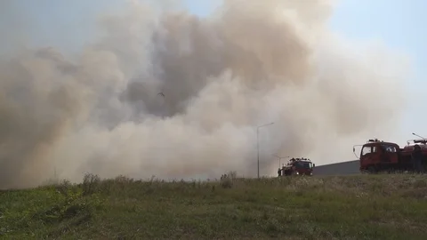 The fire engine is extinguishing the forest fire. 스톡 동영상 104738507