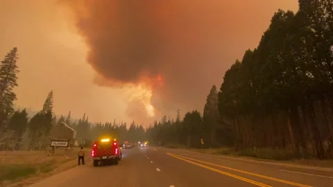 Fire engine fighting Wildfire Stock Footage 159902452