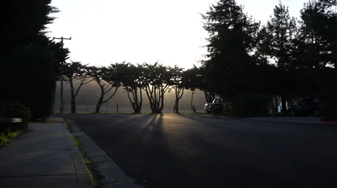 Fire engine turns into tree lined road at twilight Stock Footage 59849248