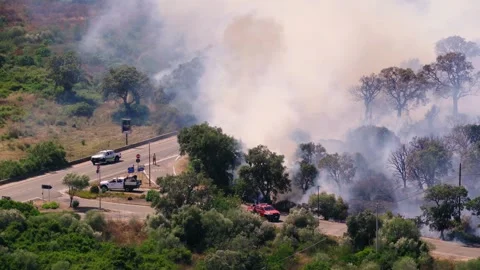 Fire engines and crew hold a fire line near Olbia, Sardinia, aerial overhead Stock Footage 345725882