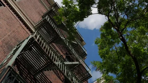 Fire Escape on a Historic Brick Building with a Vibrant Green Tree in Summer 库存影片 330985486