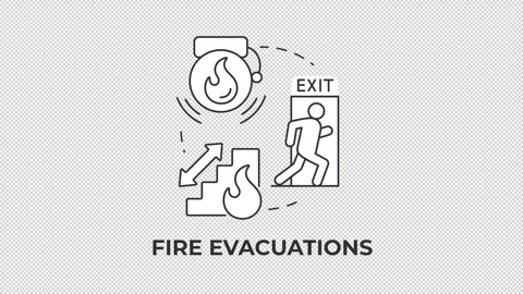 Fire evacuations line concept icon animation Stock Footage 340283225