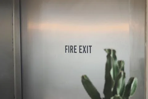 Fire exit sign on a metallic door near a plant Stock Photos