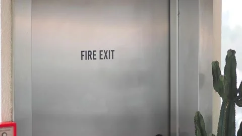 Fire exit sign next to a cactus plant in a building Stock Footage 342384500