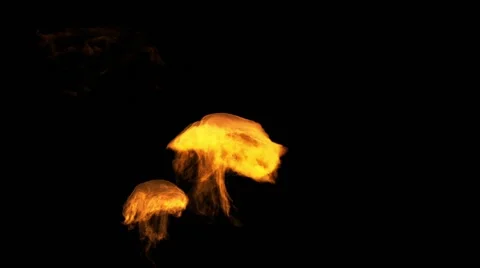 Fire explosion on a black background Video stock 50640252