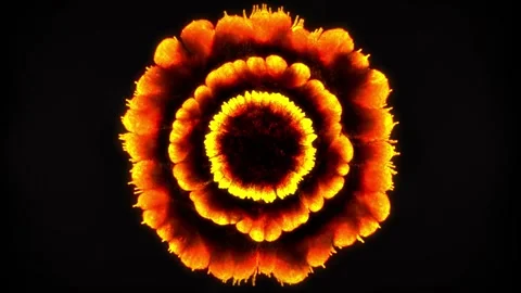 Fire Explosion Mandala Bloom Expanding in Circular Symmetrical Formation Stock Footage 335893848