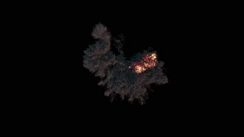 Fire Explosion Realistic flame Vídeo Stock 219763408