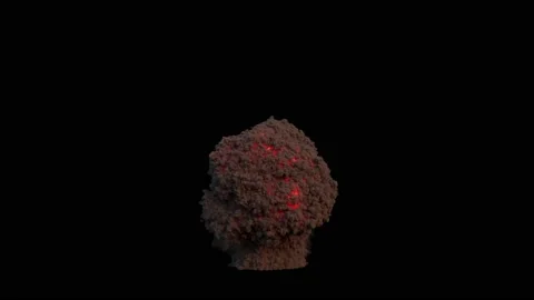 Fire Explosion Realistic flame Vídeo Stock 219763791