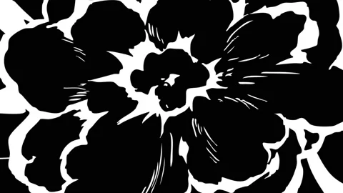 Fire explosion transition. black and white smoke blast transitions Stock Footage 145672474