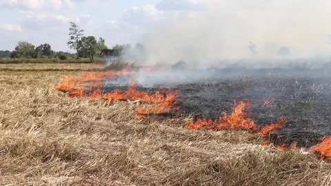 Fire farmer's field  Stock Footage