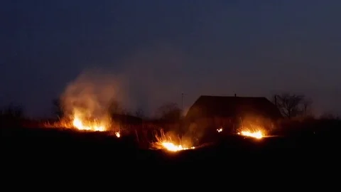 Fire on the farmers field at night Stock Footage