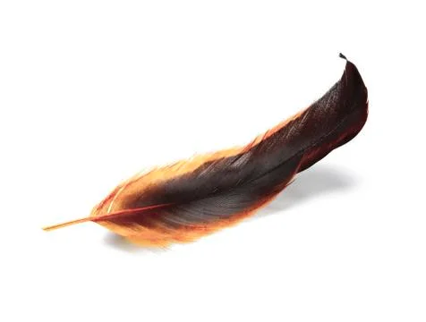 Fire feather Stock Photos