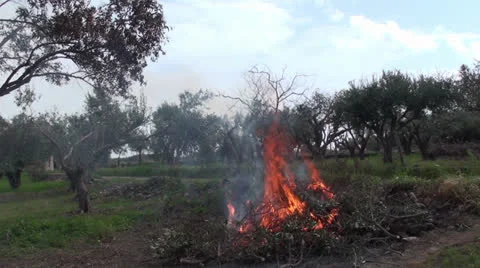 Fire in the field (3) 動画素材 22679941