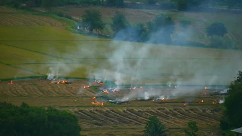 Fire On The Field and smoke Video stock 236731425