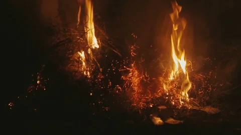 Fire on the field burning dry grass at night Stock Footage 86172093