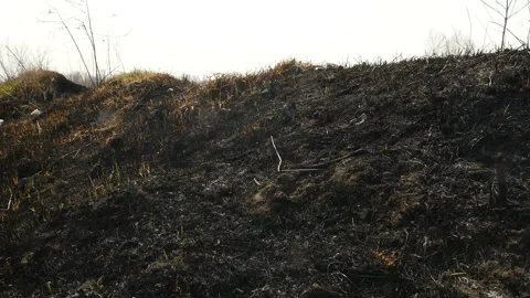 Fire on the field. Burning dry grass. A lot of smoke. Camera in motion 库存影片 131377071