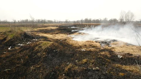 Fire on the field. Burning grass. Garbage around 库存影片 131377569
