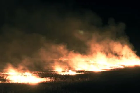 Fire on the field, Burning Leftover Wheat Stock Photos