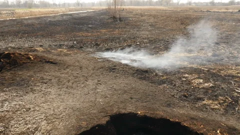 Fire on the field. Burnt grass. Ecological catastrophy Stock Footage 131428283