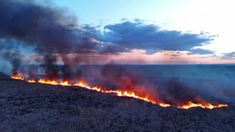 A fire in the field drone view video Stock Footage 269419387