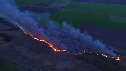 A fire in the field drone view video Stock Footage 269419468