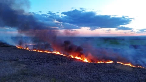 A fire in the field drone view video Stock Footage 269419740