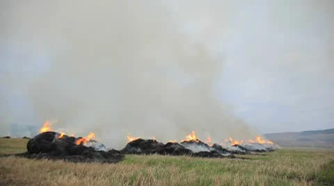 Fire on the field Stock Footage 8907870