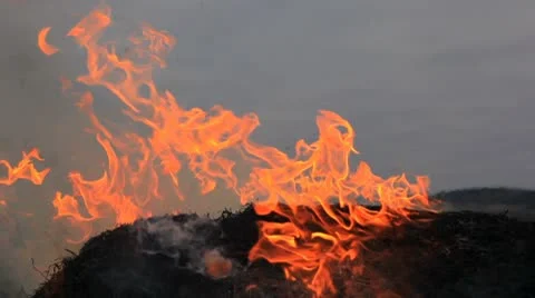 Fire on the field Видео 8951799