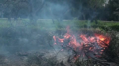 Fire in the field Stock Footage 22341558