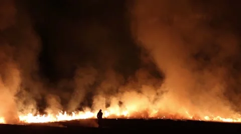 Fire on the field Stock Footage 49705457