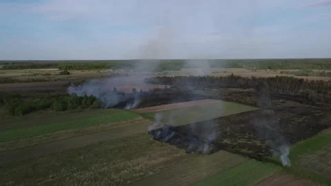 Fire in the field Stock Footage 194481823