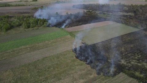 Fire in the field Stock Footage 194481919