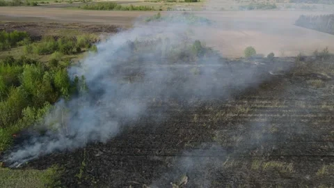 Fire in the field Stock Footage 194482088